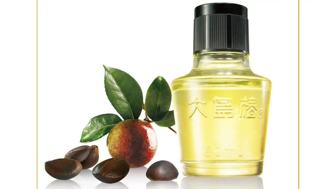 L huile De Cam lia Tsubaki Oil Pour Peau Et Cheveux Blog Japon l-huile-de-cam-lia-tsubaki-oil-pour-peau-et-cheveux-blog-japon